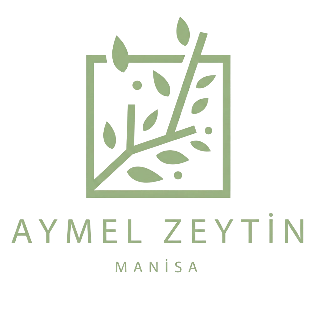 Aymel Zeytin